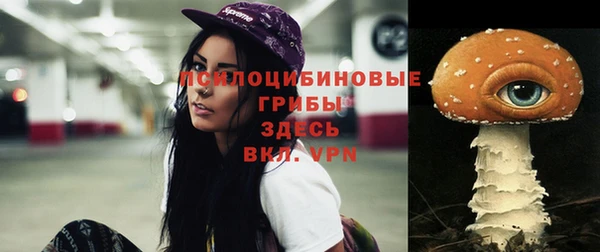 дмт Баксан
