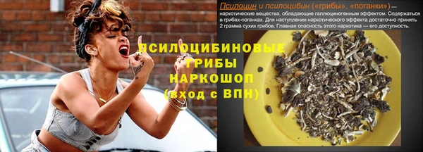 бошки Арсеньев