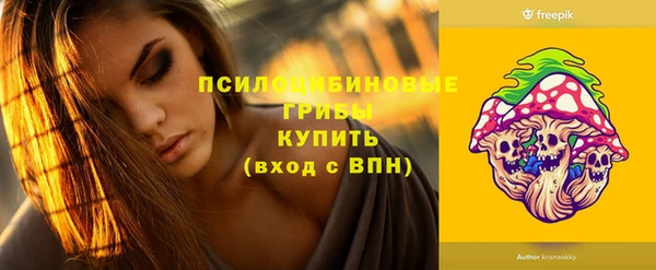 бошки Арсеньев